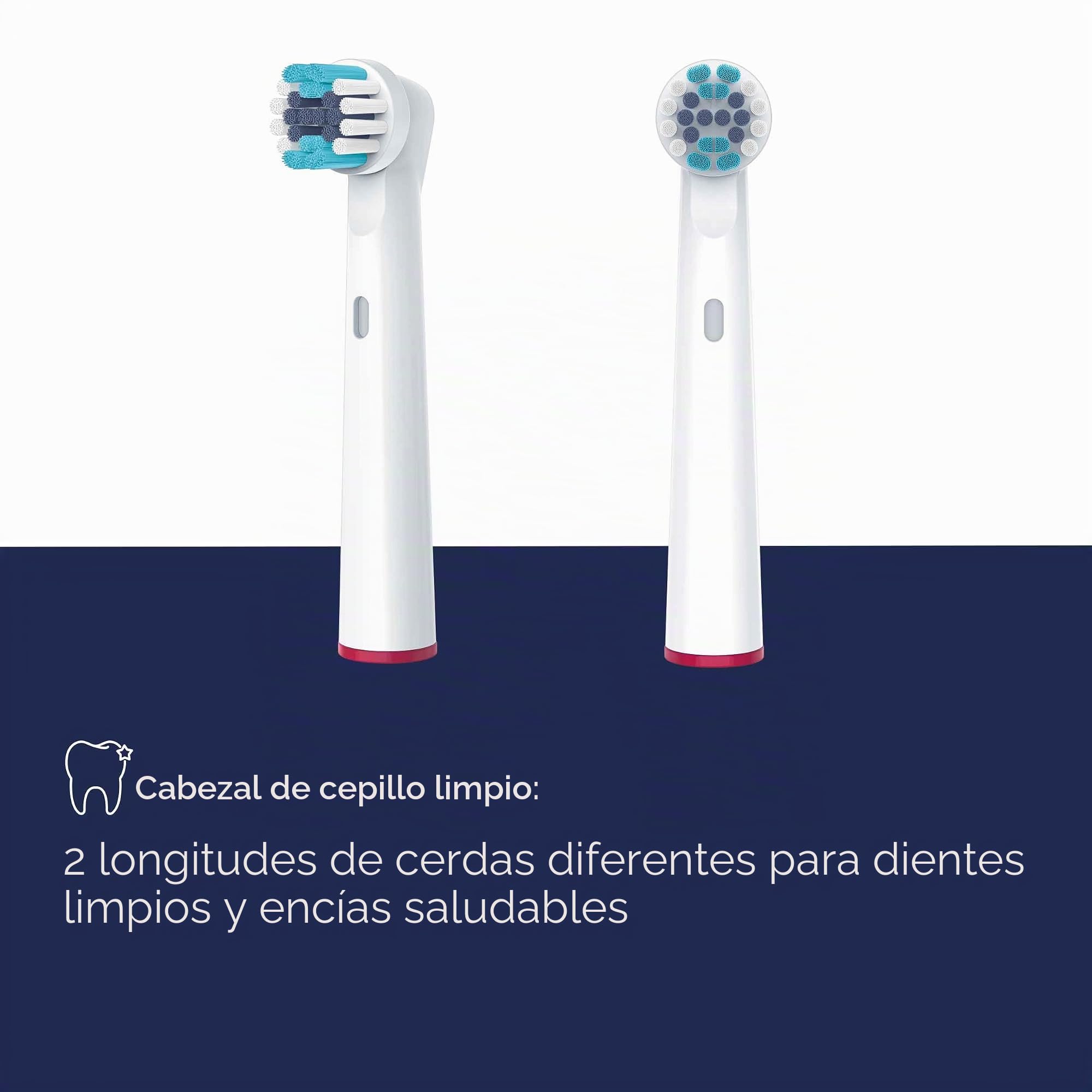 beurer-tb-30-50-cabezales-de-cepillo-de-dientes-el-ctrico-clean-pack-de-4-recamb image 3