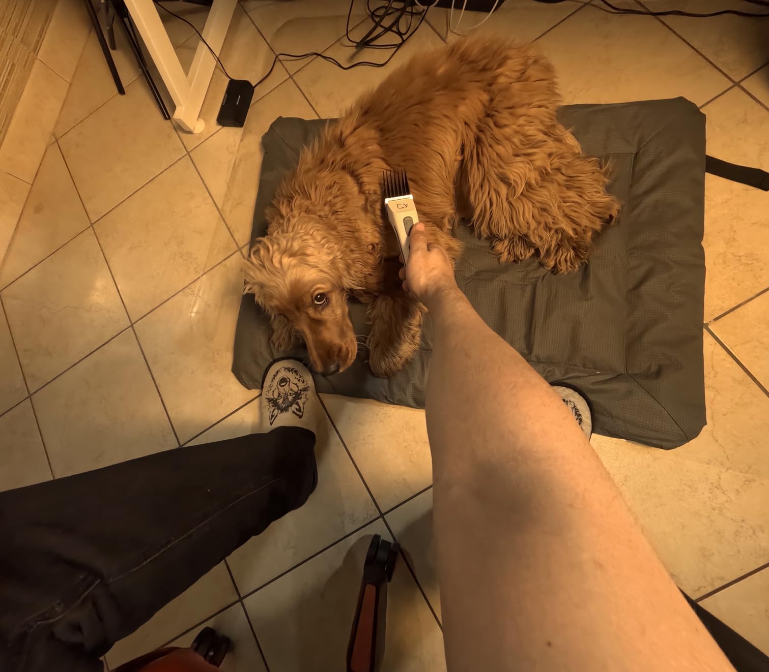 Se atascaba con mi perro