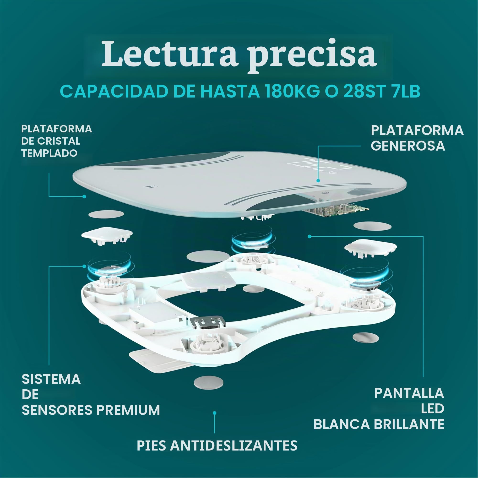 homedics-essentials-xl-display-b-scula-de-ba-o-digital-con-pantalla-led-extragra image 3