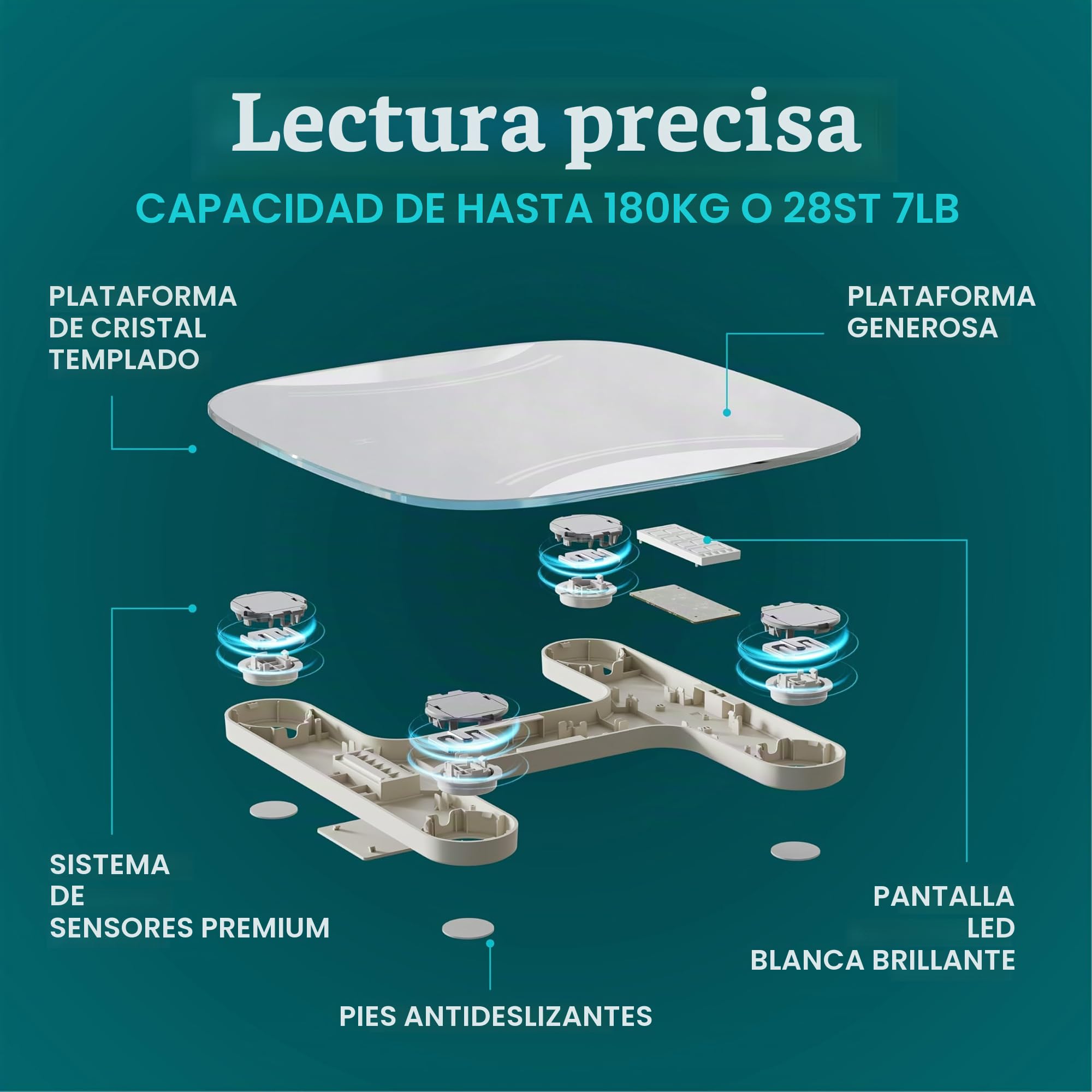 homedics-essential-b-scula-digital-de-ba-o-con-pantalla-led-vidrio-templado-5-mm image 3