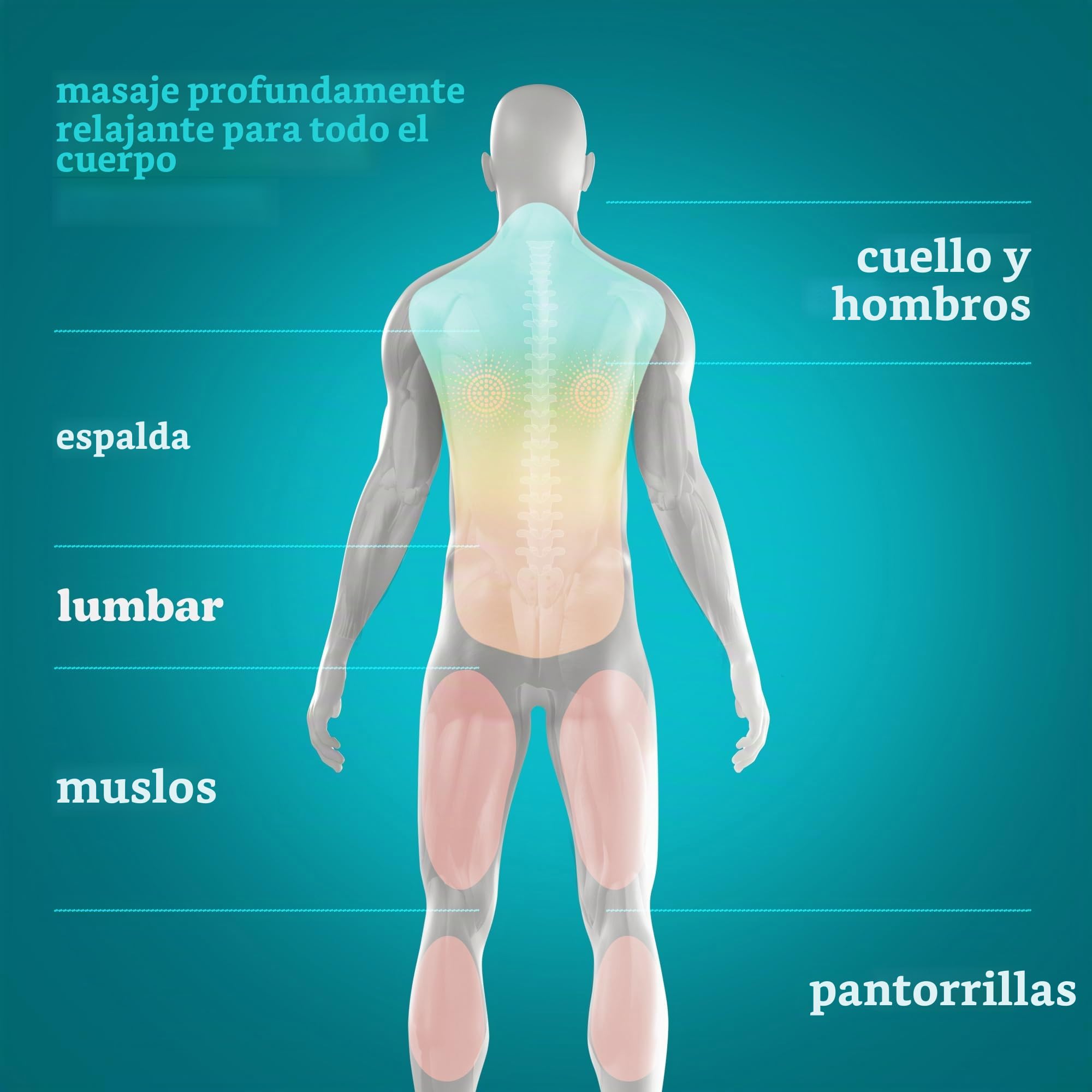 homedics-coj-n-de-masaje-port-til-shiatsu-con-calor-4-nodos-rotativos-bidireccio image 2