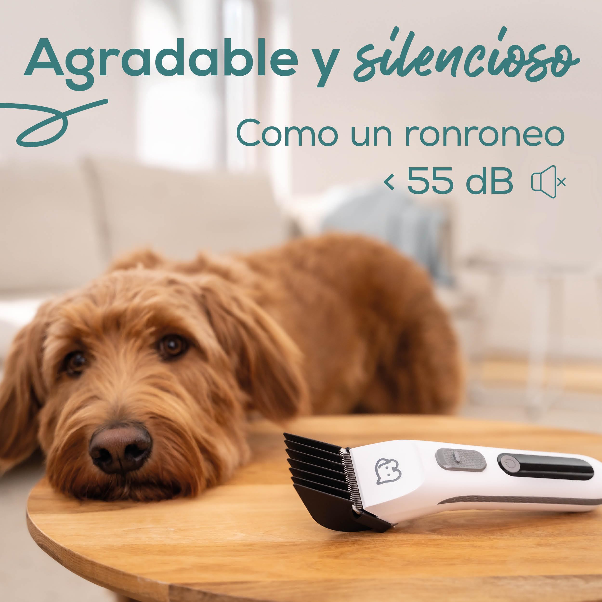 beurer-love-your-pet-recortadora-fluffy-cortapelos-silencioso-para-perros-y-gato image 4