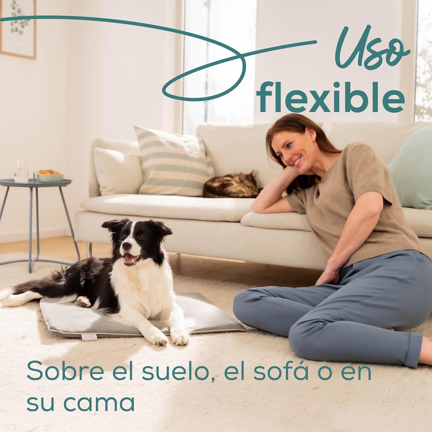 beurer-love-your-pet-colchoneta-t-rmica-sammy-talla-l-para-perros-y-gatos-65-50- image 5