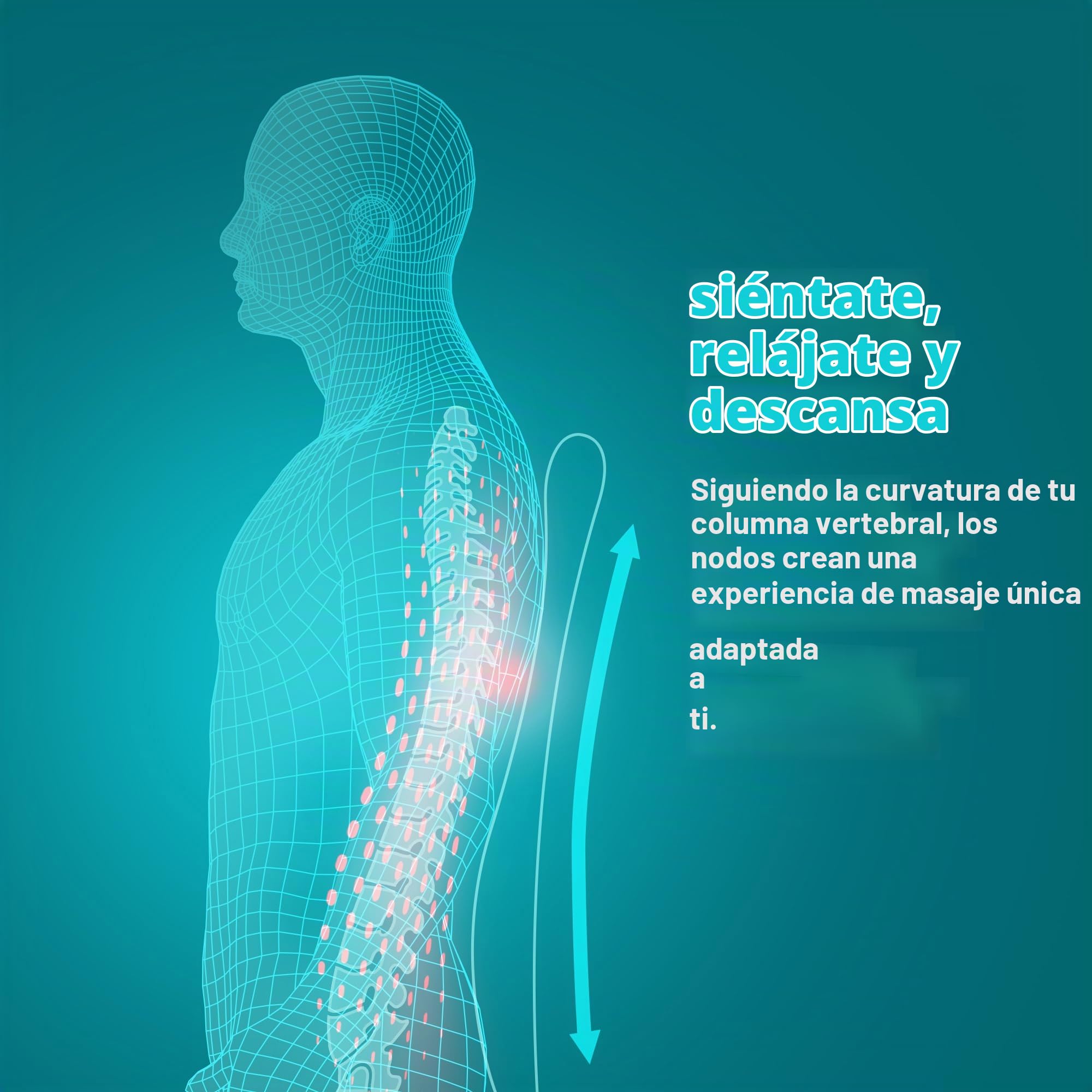 homedics-asiento-masajeador-el-ctrico-shiatsu-3-zonas-con-calor-y-control-remoto image 5