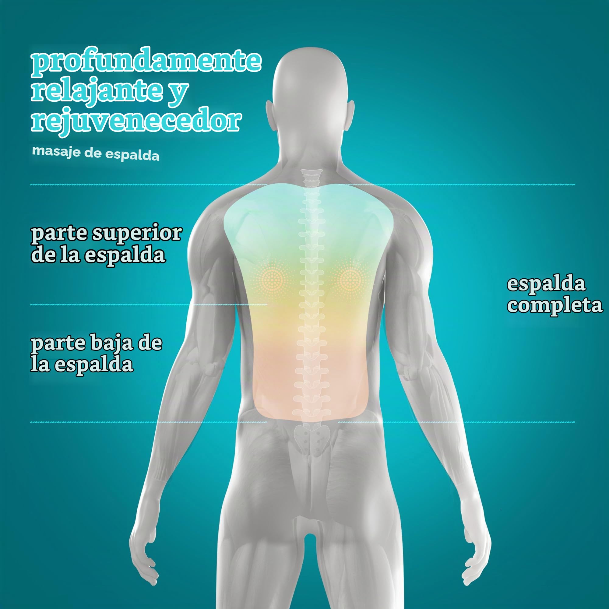 homedics-asiento-masajeador-el-ctrico-shiatsu-3-zonas-con-calor-y-control-remoto image 2