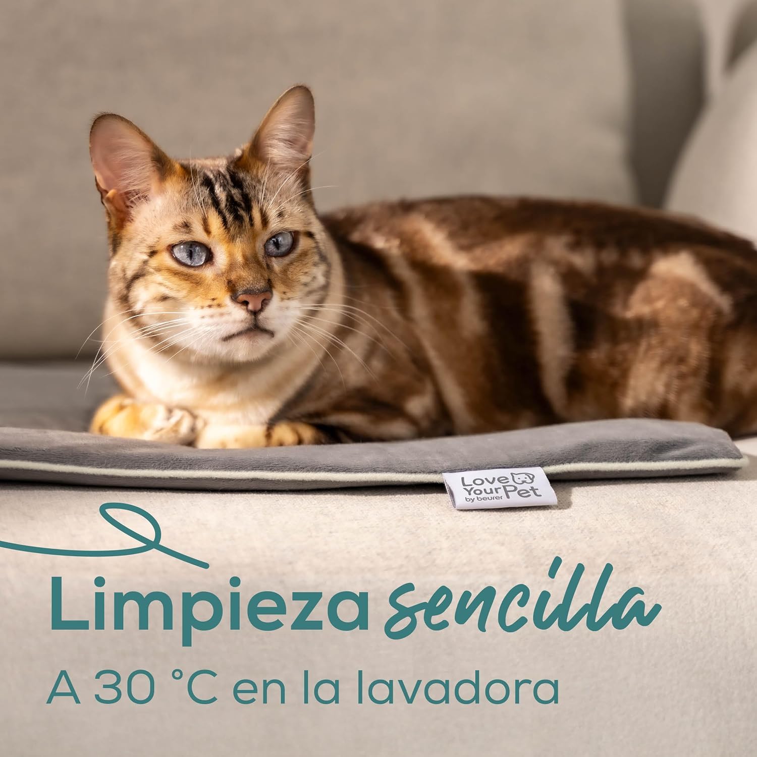 beurer-love-your-pet-colchoneta-t-rmica-sammy-talla-l-para-perros-y-gatos-65-50- image 3