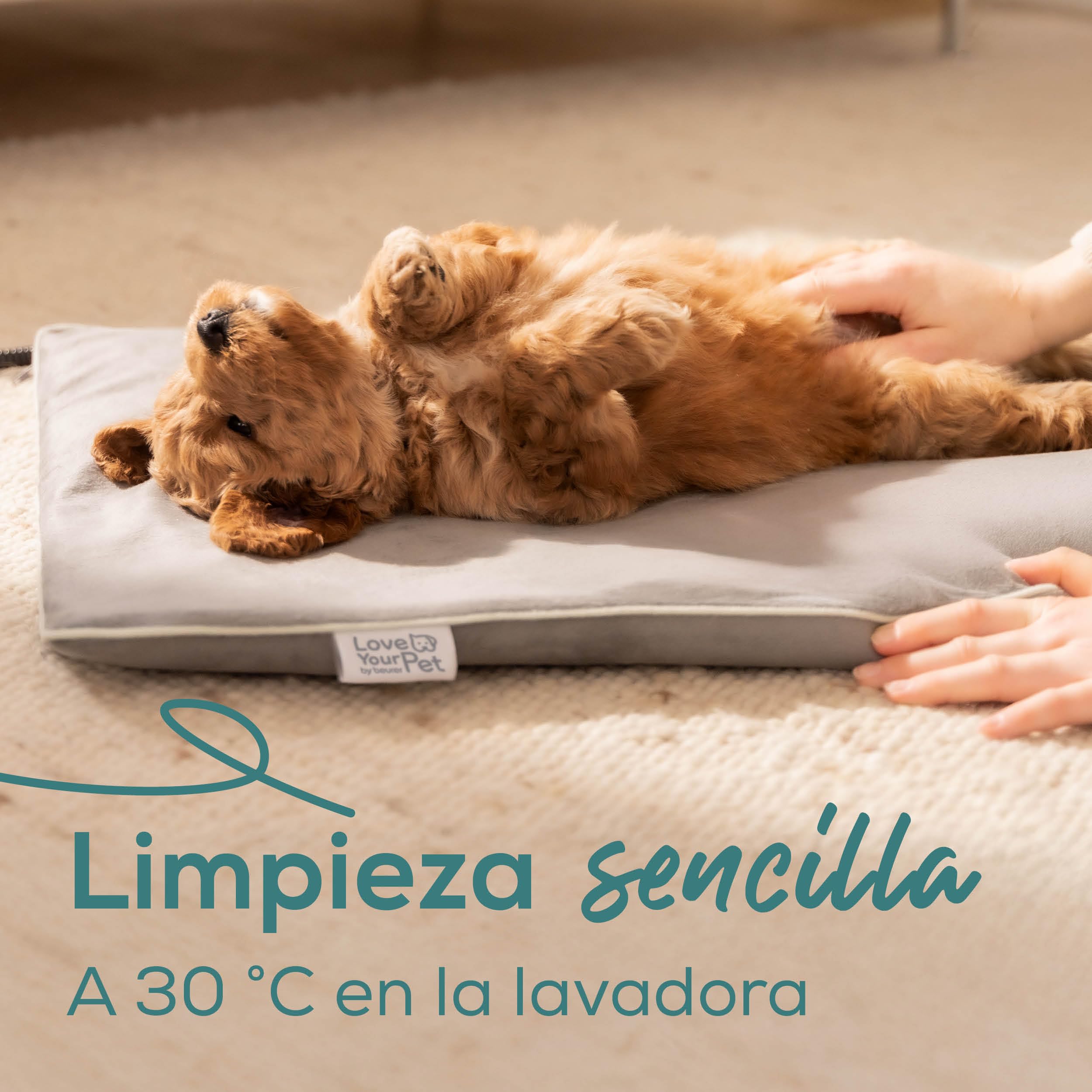beurer-love-your-pet-colchoneta-t-rmica-lilli-talla-s-para-perros-y-gatos image 3