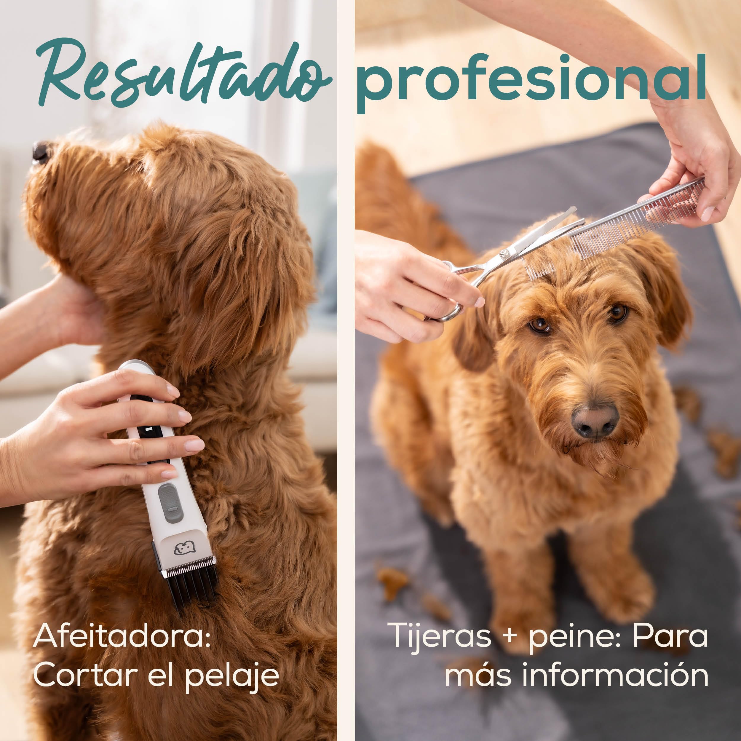 beurer-love-your-pet-recortadora-fluffy-cortapelos-silencioso-para-perros-y-gato image 6