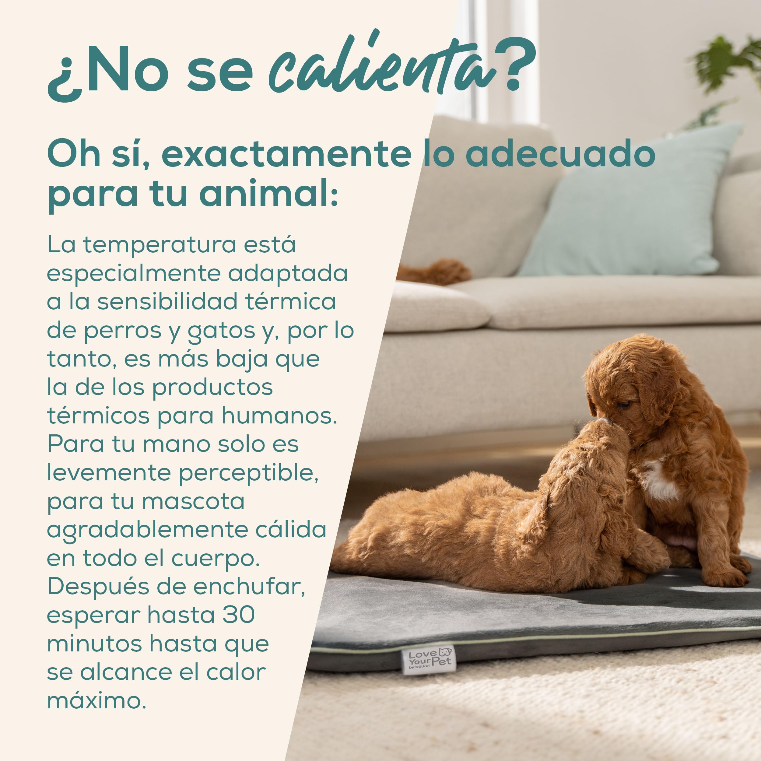 beurer-love-your-pet-colchoneta-t-rmica-sammy-talla-l-para-perros-y-gatos-65-50- image 2