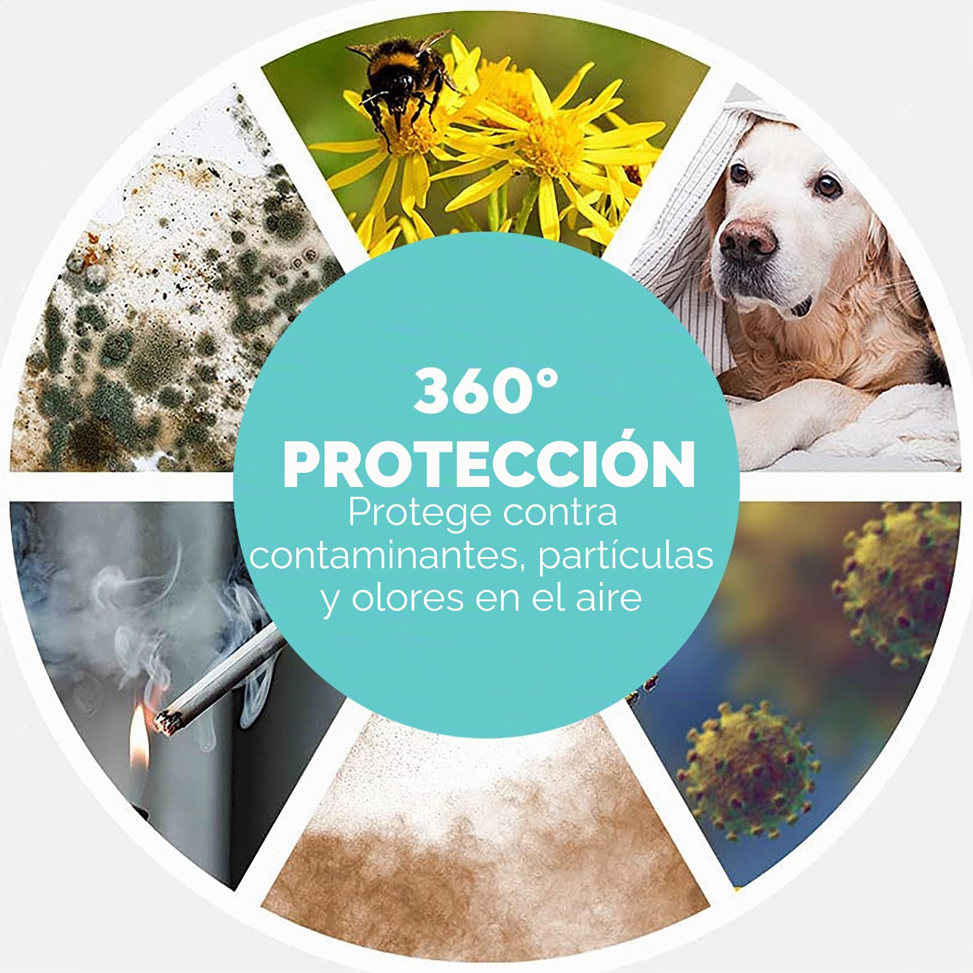 homedics-totalclean-5-en-1-deluxe-purificador-de-aire-true-hepa-360-y-carb-n-act image 6