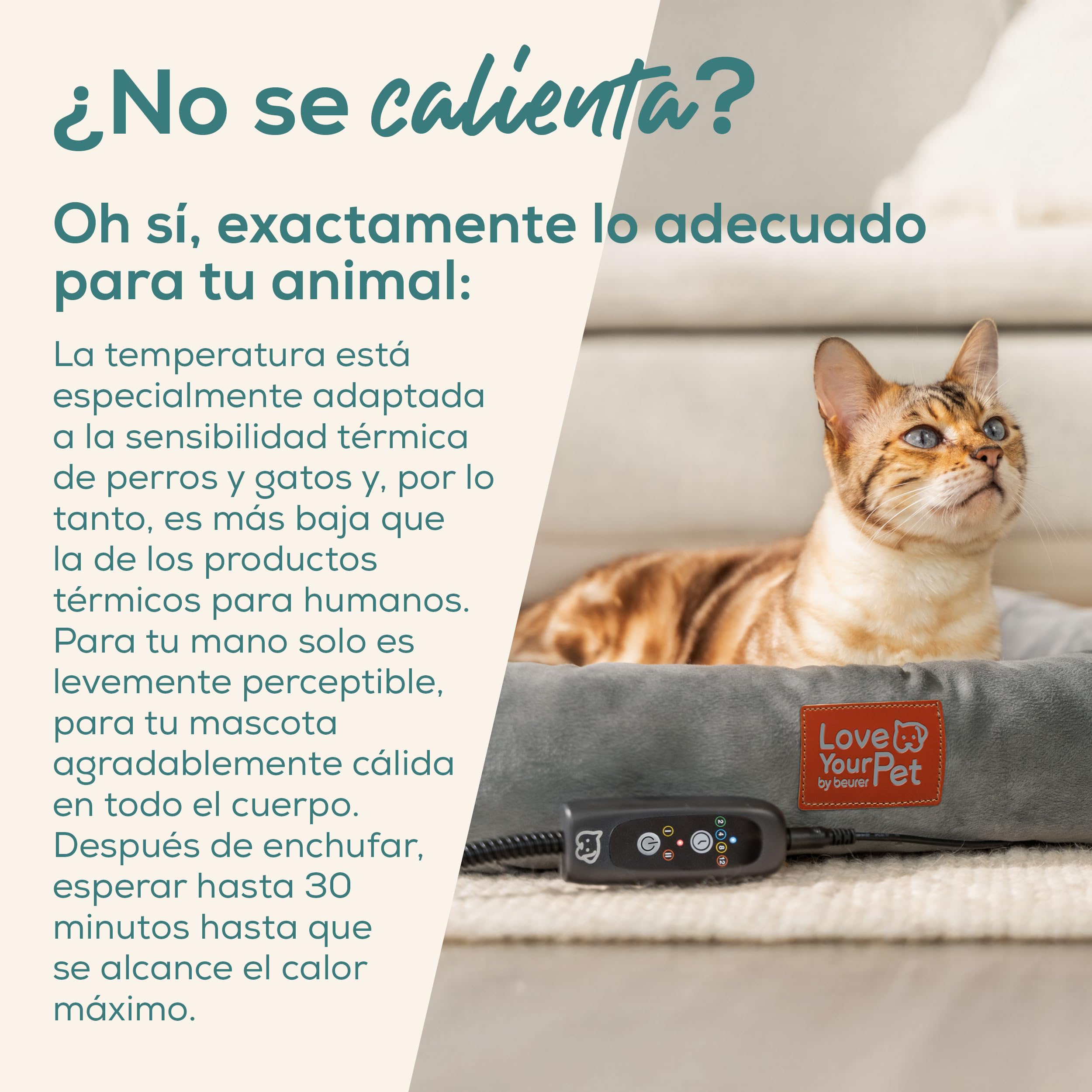 beurer-love-your-pet-cama-t-rmica-kira-para-perros-y-gatos-con-calefacci-n-el-ct image 2