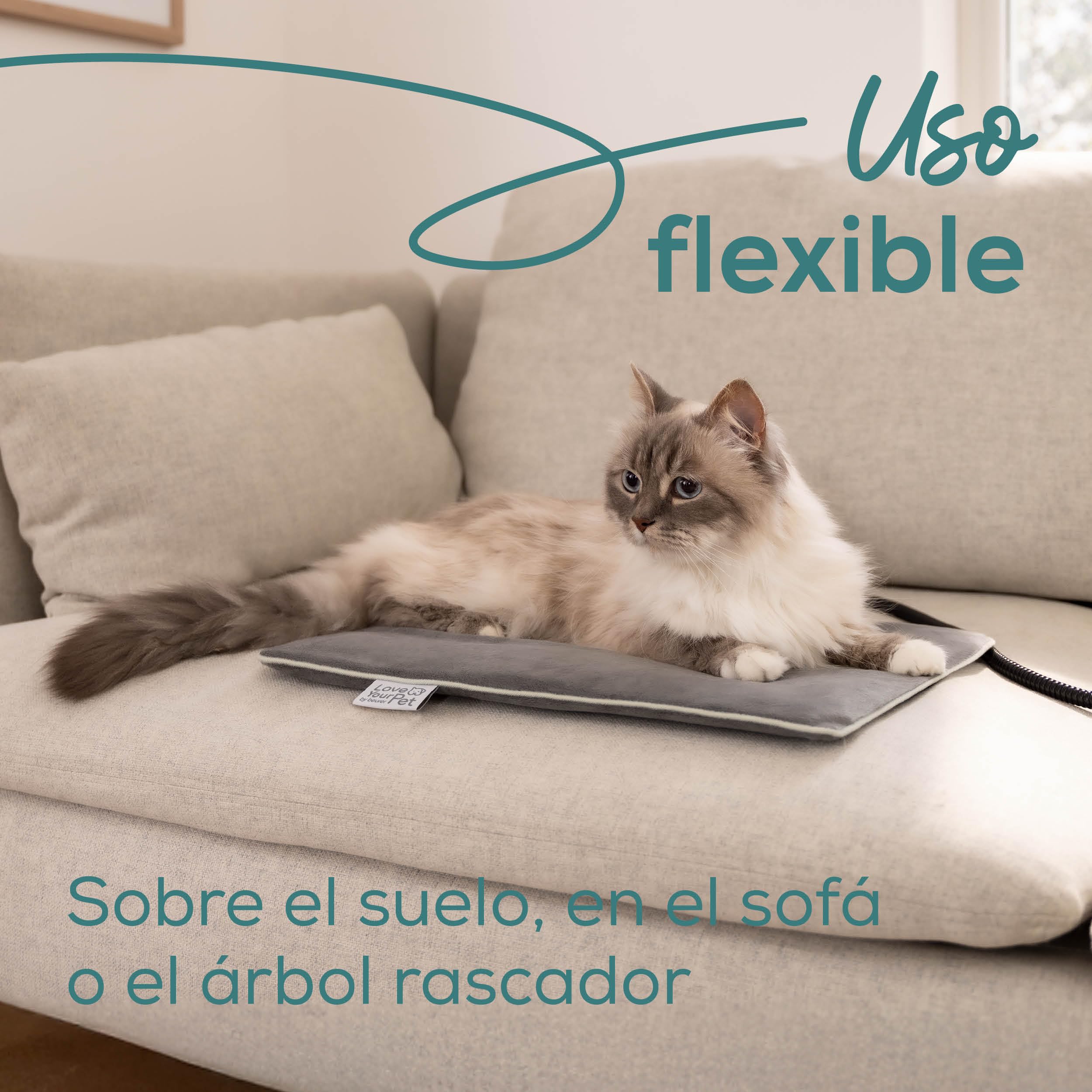 beurer-love-your-pet-colchoneta-t-rmica-lilli-talla-s-para-perros-y-gatos image 5