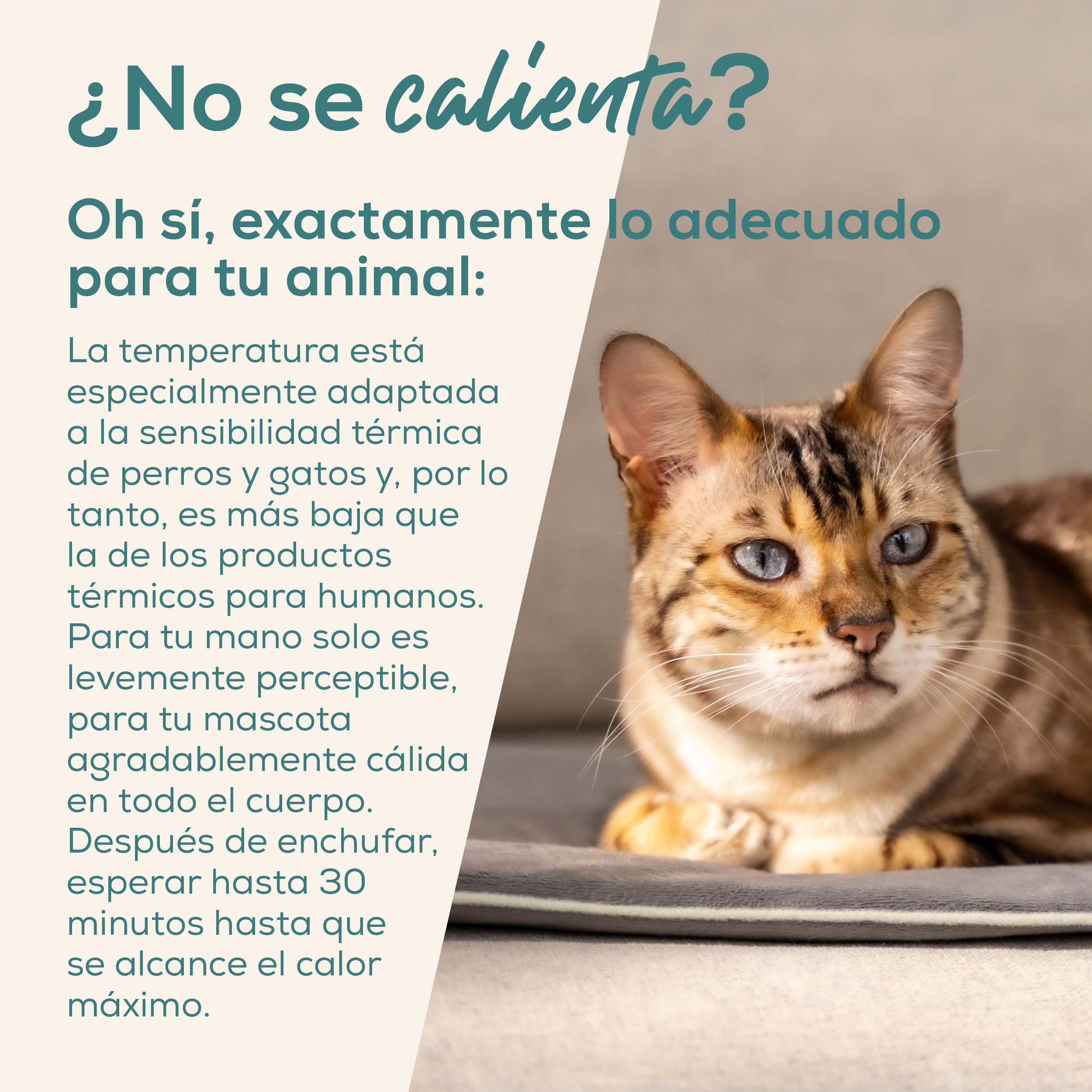 beurer-love-your-pet-colchoneta-t-rmica-lilli-talla-s-para-perros-y-gatos image 2