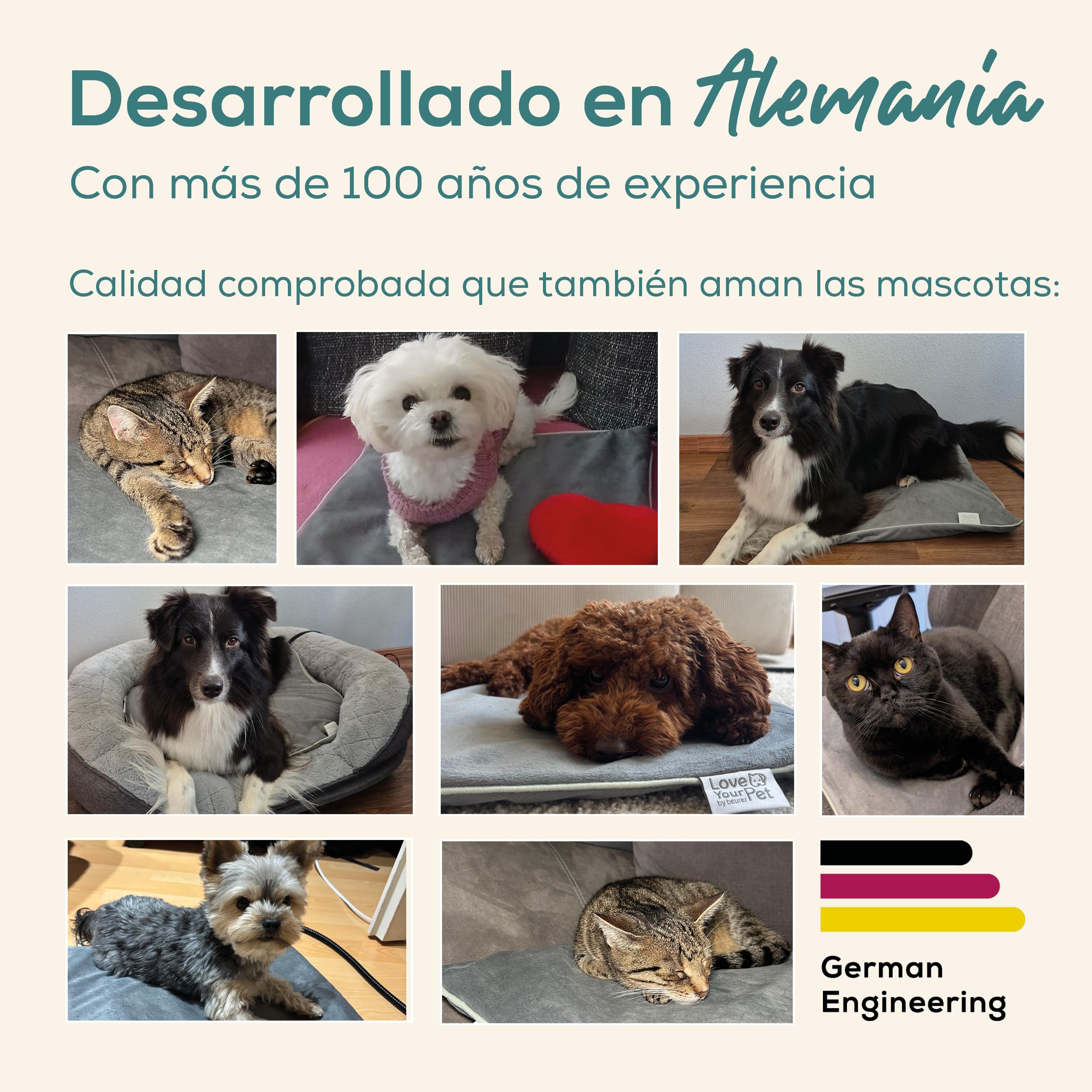 beurer-love-your-pet-colchoneta-t-rmica-sammy-talla-l-para-perros-y-gatos-65-50- image 4
